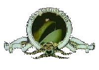 The Frog